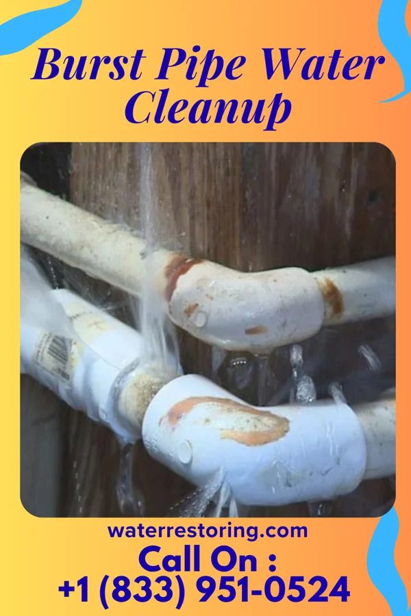 Burst Pipe Water Cleanup in Rivesville, WV