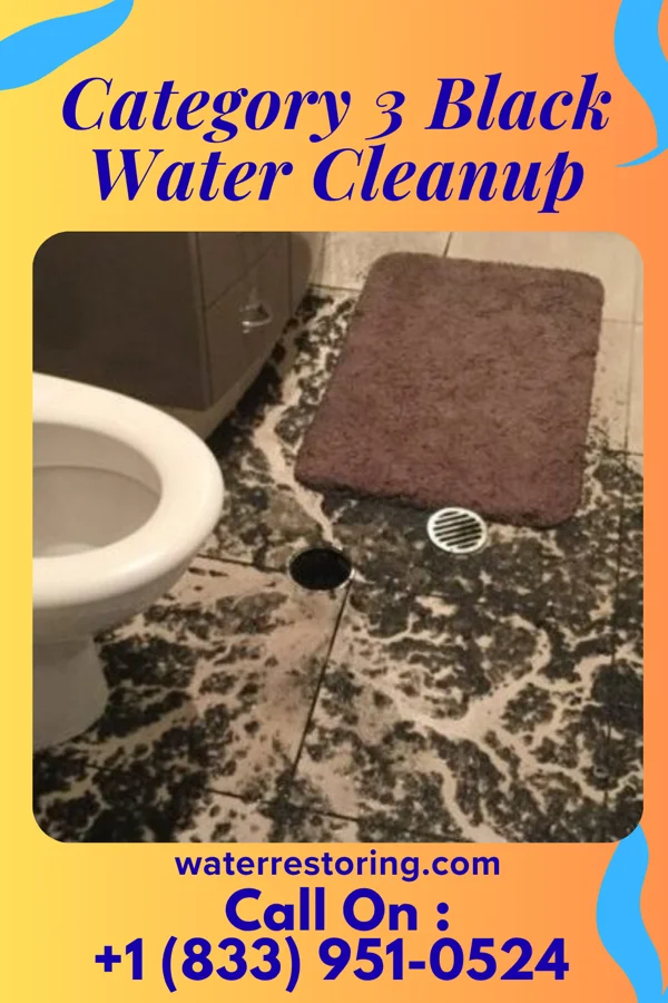 Category 3 Black Water Cleanup in Rivesville, WV