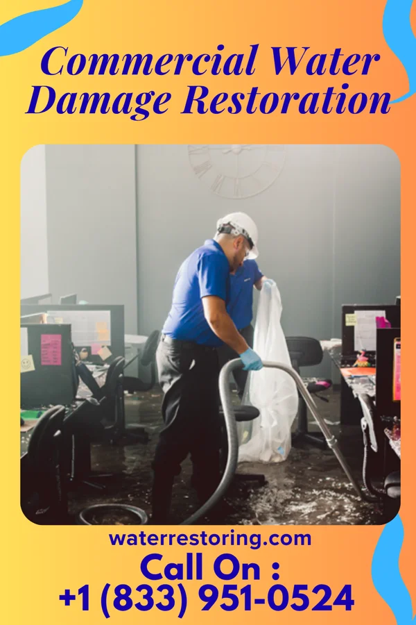 Commercial Water Damage Restoration in Rivesville, WV