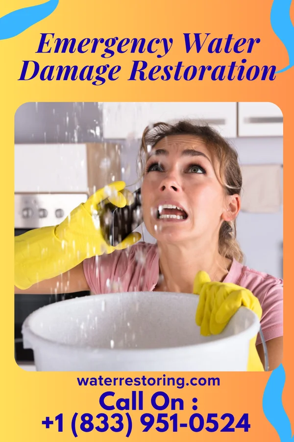 Emergency Water Damage Restoration in Rivesville, WV
