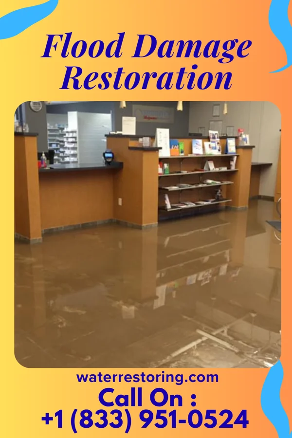 Flood Damage Restoration in Rivesville, WV