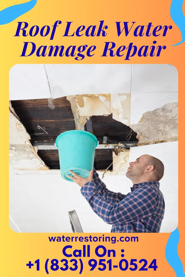 Roof Leak Water Damage Repair in Rivesville, WV