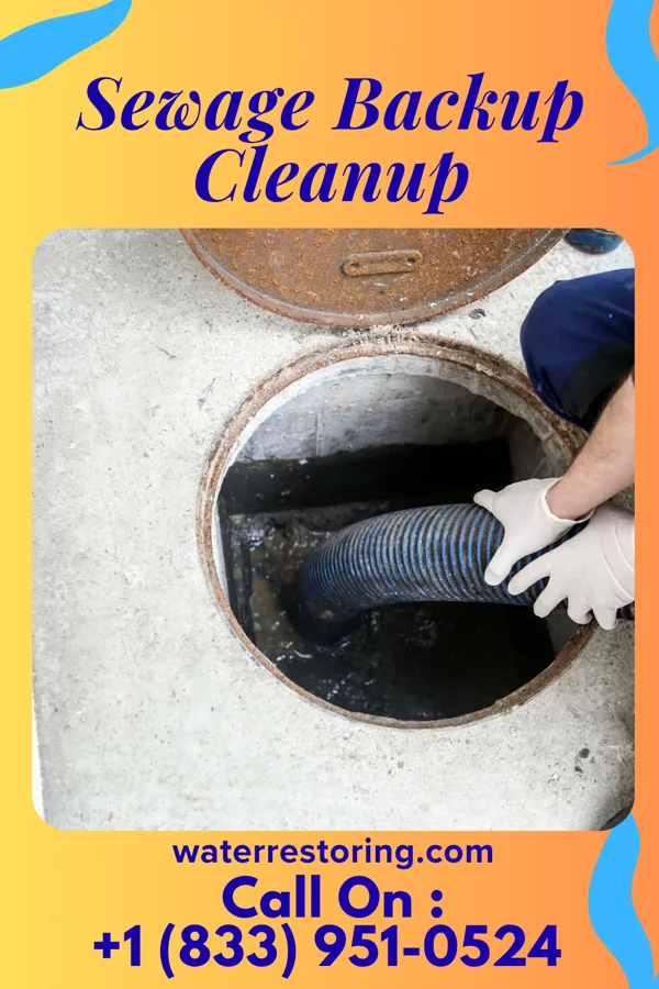 Sewage Backup Cleanup in Rivesville, WV