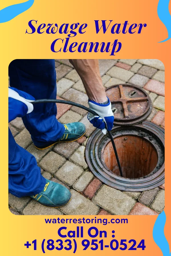 Sewage Water Cleanup in Rivesville, WV